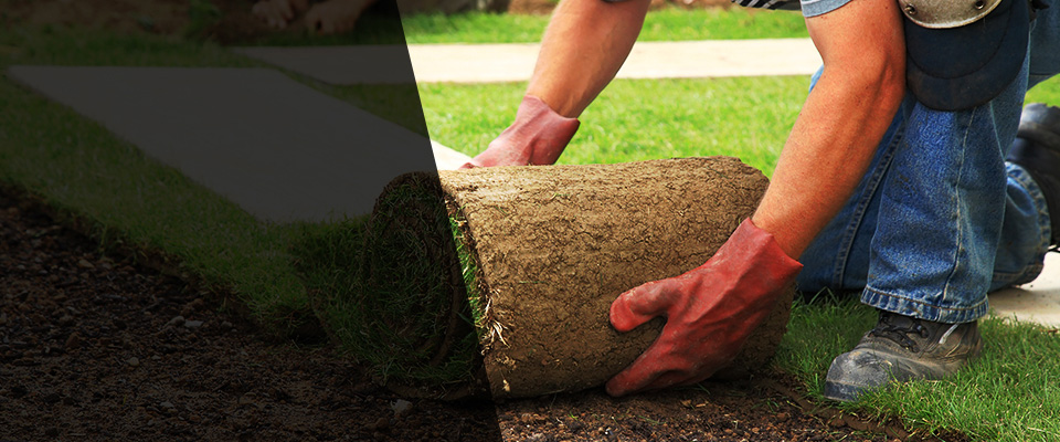 White Sulphur Springs Landscapers